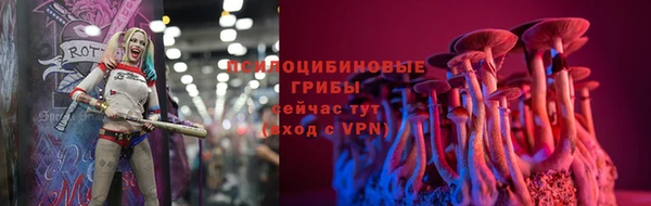 ПСИЛОЦИБИНОВЫЕ ГРИБЫ Абдулино
