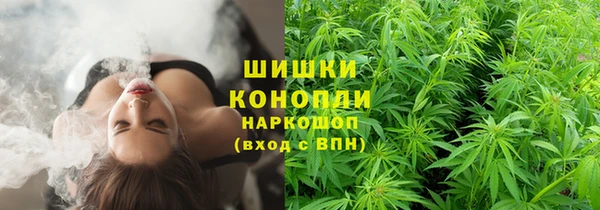 ПСИЛОЦИБИНОВЫЕ ГРИБЫ Абдулино