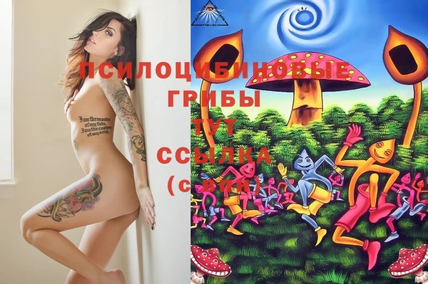 стаф Алексеевка