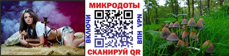 Псилоцибиновые грибы Psilocybe  блэк спрут маркетплейс  Адыгейск 